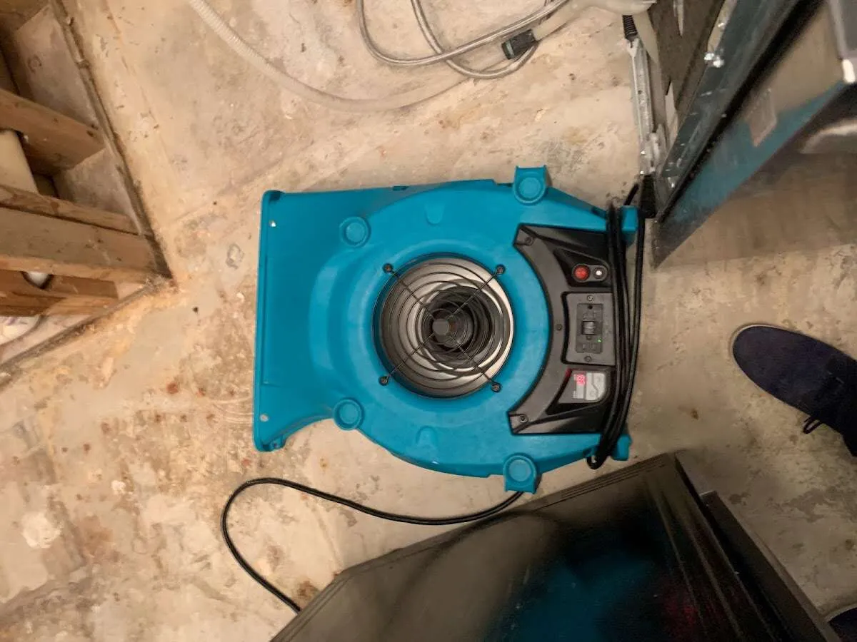 Air mover drying equipment for Mold Remediation & Removal in Westlake